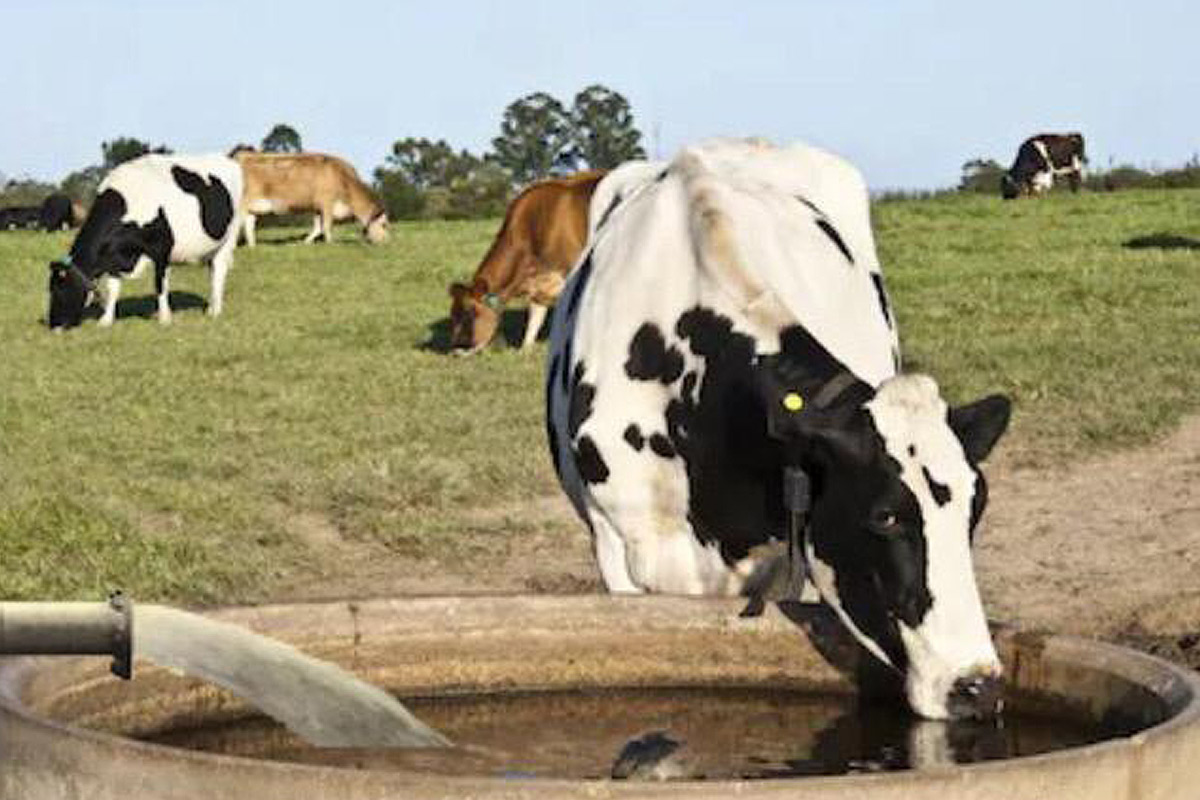 img-sistemasdebombeosolar-2 (1)